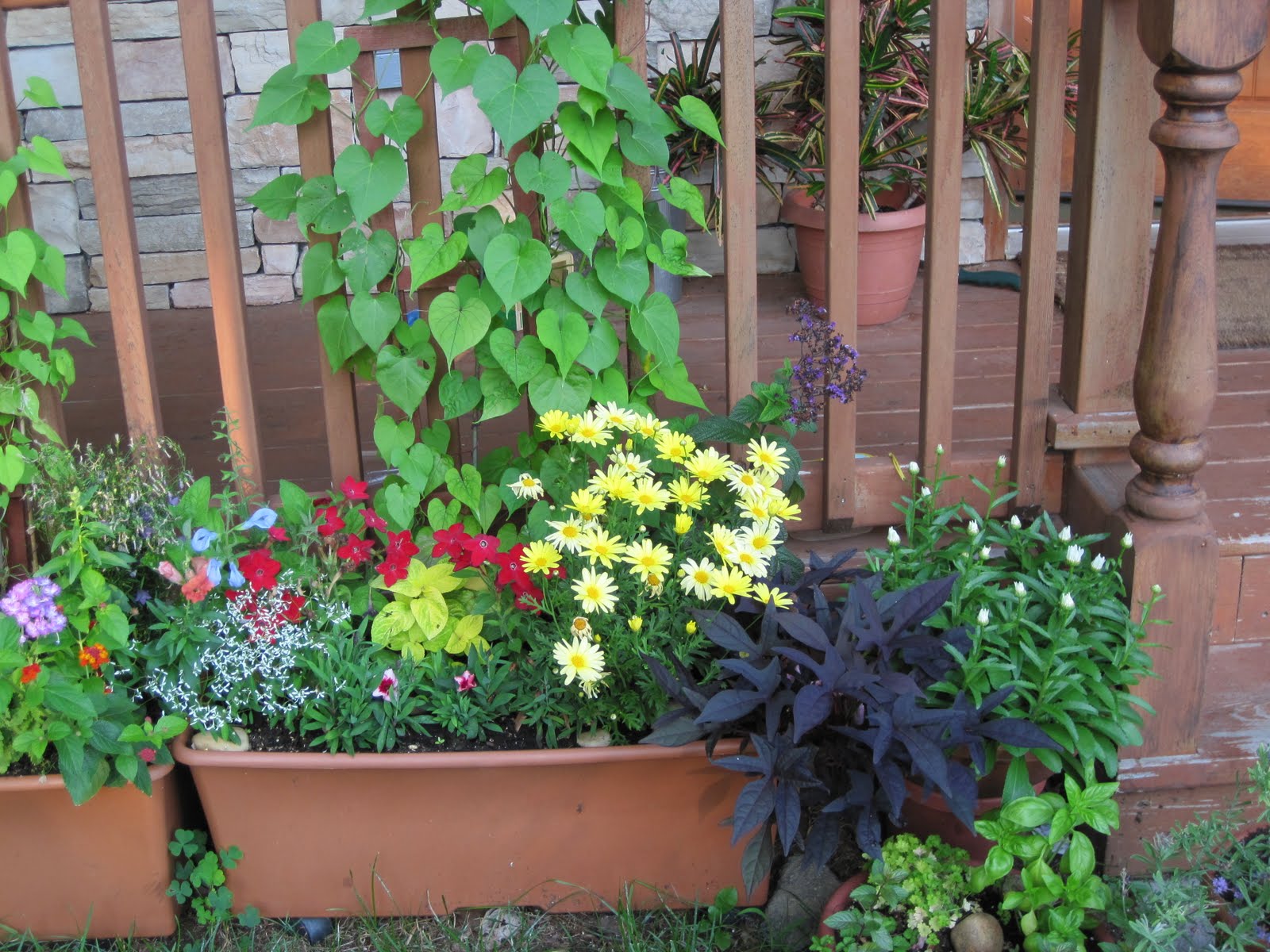 Gardening and Gardens Updated Flower Box Photos