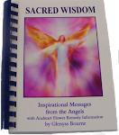 Sacred Wisdom Angelic Guidance Book by Glenyss Bourne