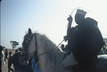 Horse rider in the village