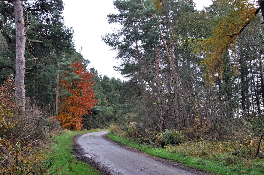 North Fife North Fife Road November