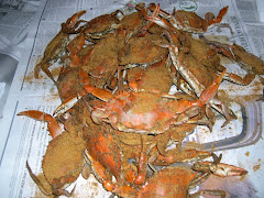 Steamed Crabs Summer Time Fun