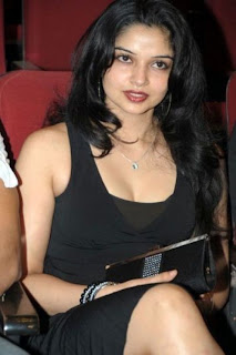 1881569_f496.jpg