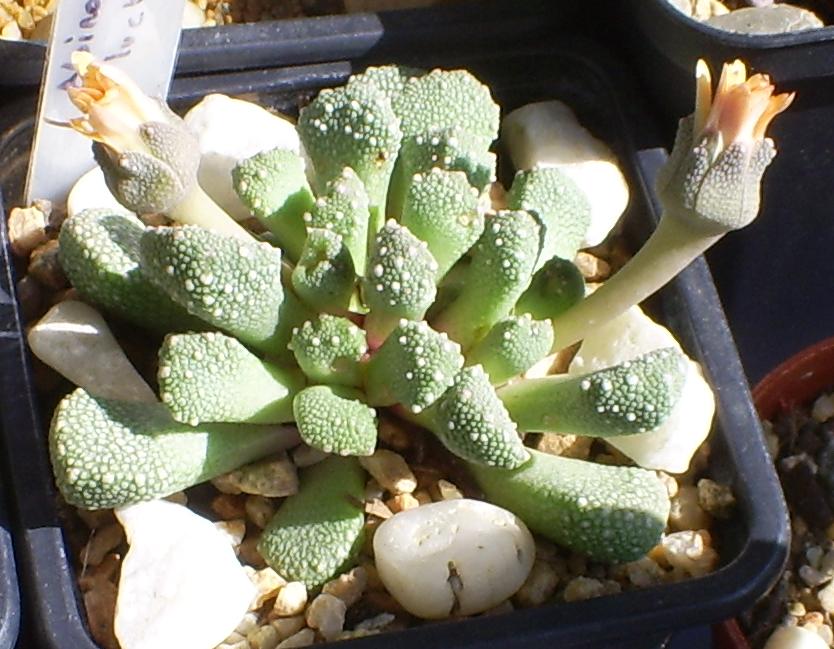[S5033191.JPG]