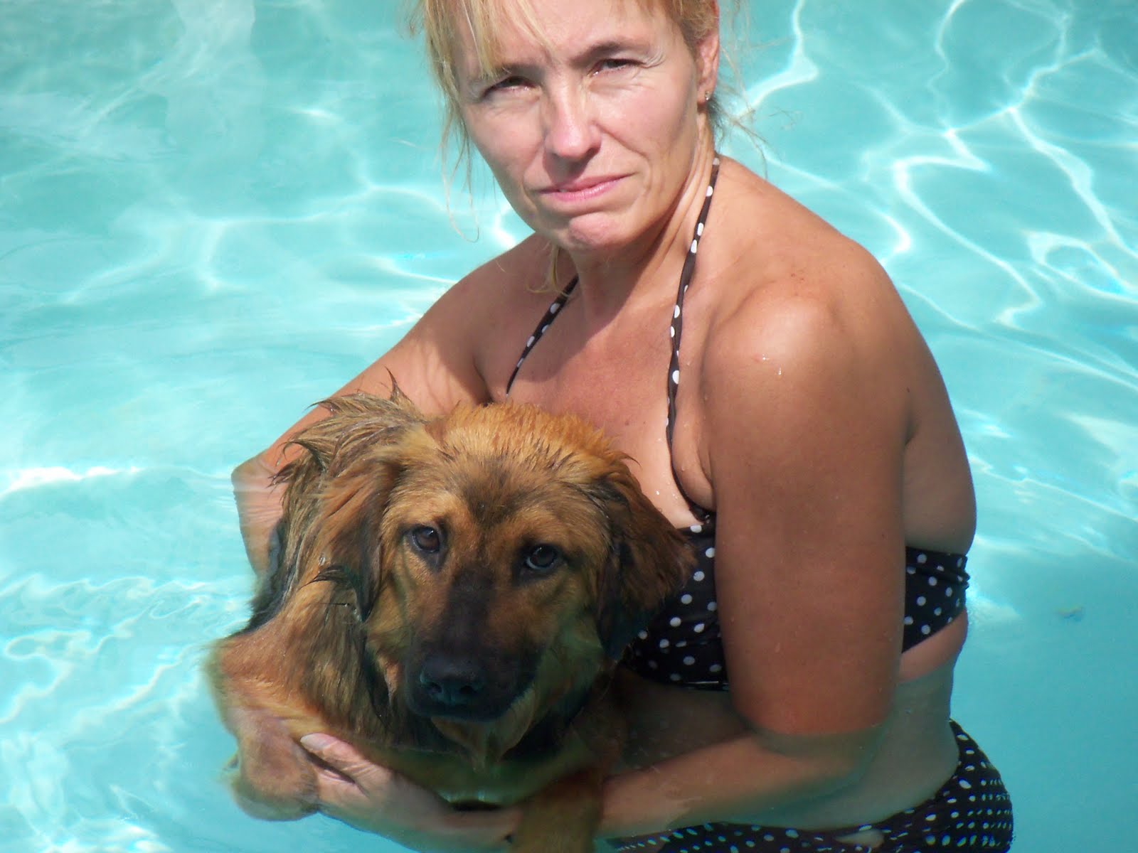 laws-animal-rescue