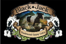 BLACK JACK LOGO