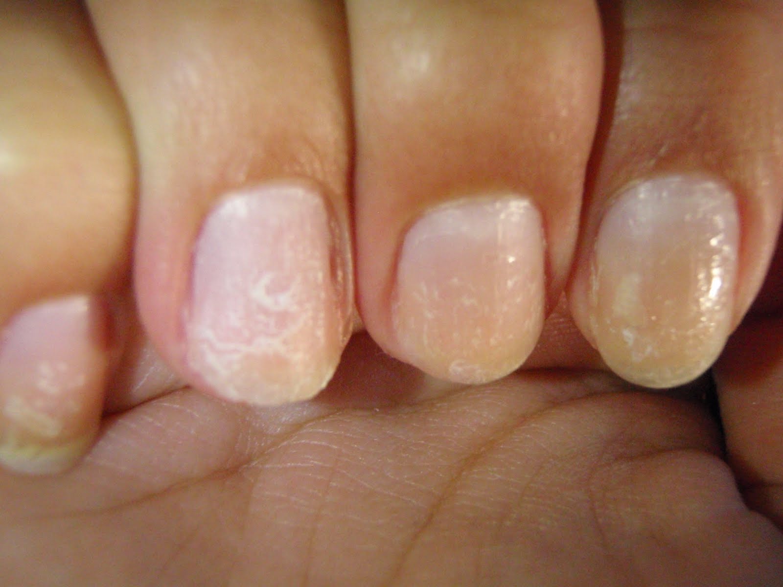 nail-junkie-nailene-s-artificial-nails