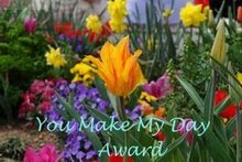 "You Make My Day Award"