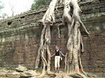 Trädrötter växer över tempel i djungelstaden Angkor, Kambodja