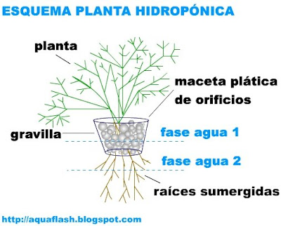 esquema+planta+hidroponica.jpg