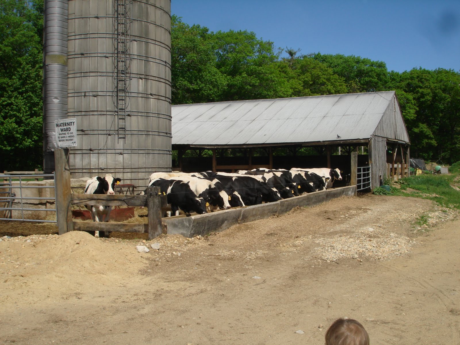 The Glesser Family Blog The Dairy Farm Tour
