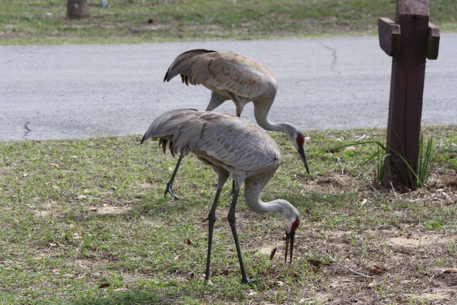 The Thomas' Trails Monument of States