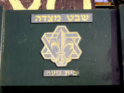 Star of David Scouts Logo