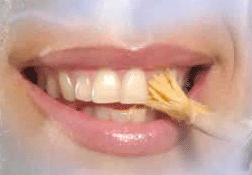 [misvak-diş-bakımı.gif]