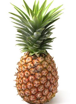 [Ananas.jpg]