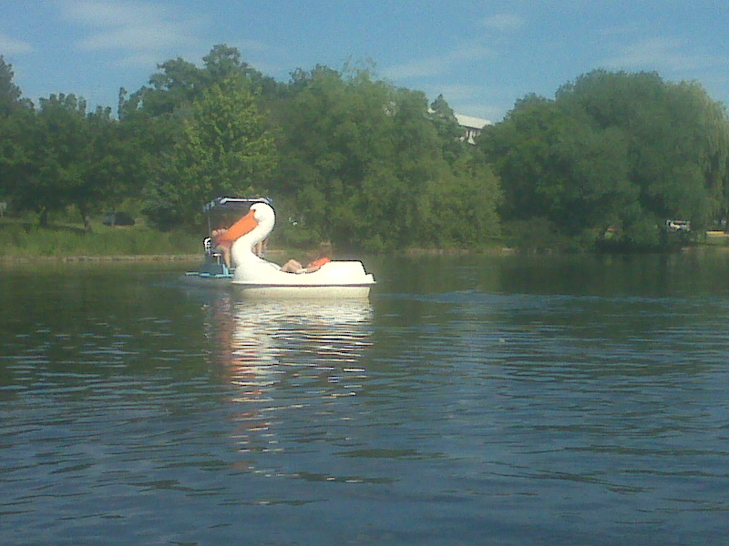 PORTLAND PARKVOLDS Paddle Boats in Boise