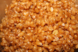 cooked wheat berries pressure epicurean vegan