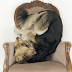 Dogs As Seen By A Dutchman: Maarten Wetsema's Fab Photos