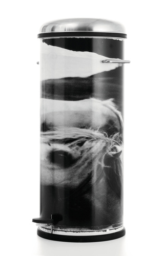 [thumb_53016_500x500.jpg]