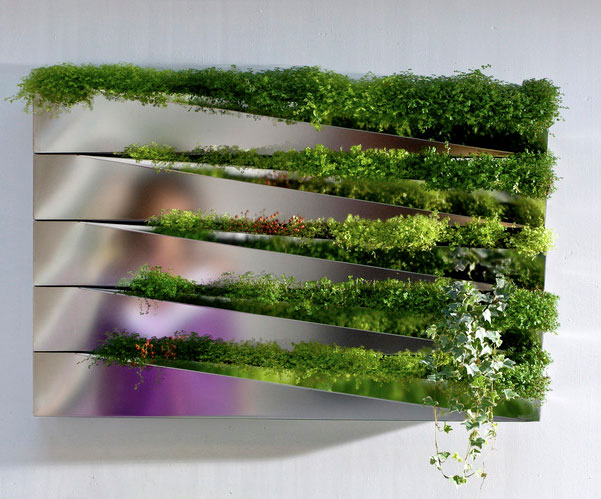 Grass Mirror Window Box by Jean-Jacques Hubert on if it's hip, it's here