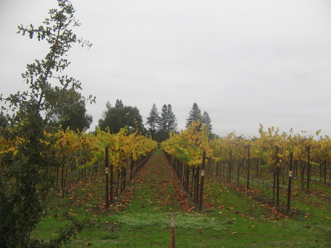Grape Pathways