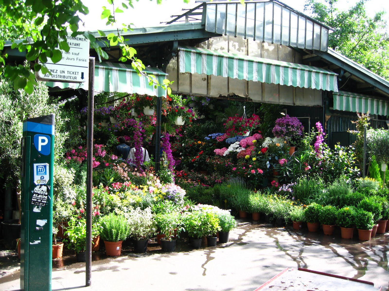 Art is Autobiography PARISCity of Flowers