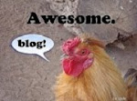 CAPTAIN CLUCK THINKS I'M AWESOME!