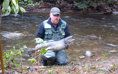 Trout Brook