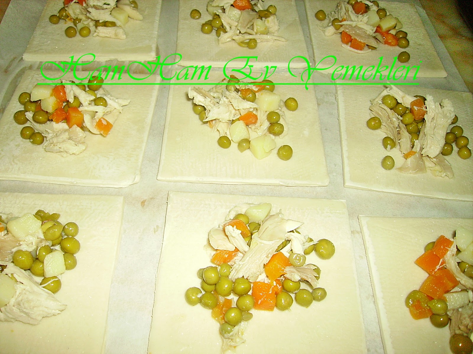 HAMHAM EV YEMEKLERİ Milföyde Tavuklu Garnitürlü Börek