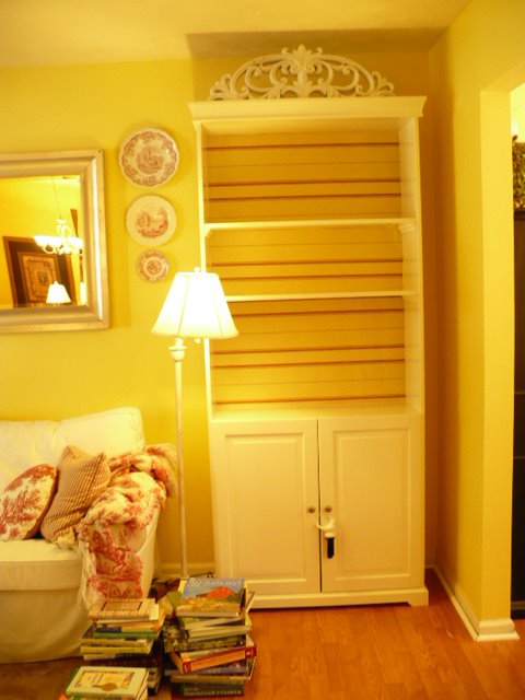 [bookcase.JPG]