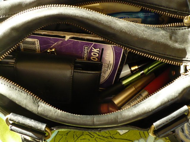 [purseinside1.JPG]