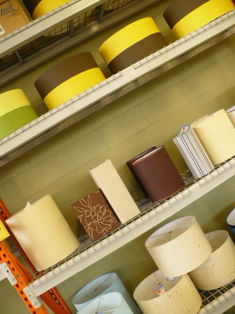 [habitat+restore+012.JPG]