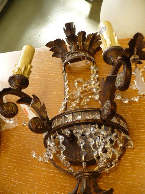 [habitat+restore+013.JPG]