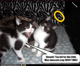 CRAP!