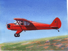 Benjamin's Red Airplane