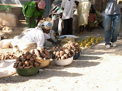 TARO, PATATE DOUCE