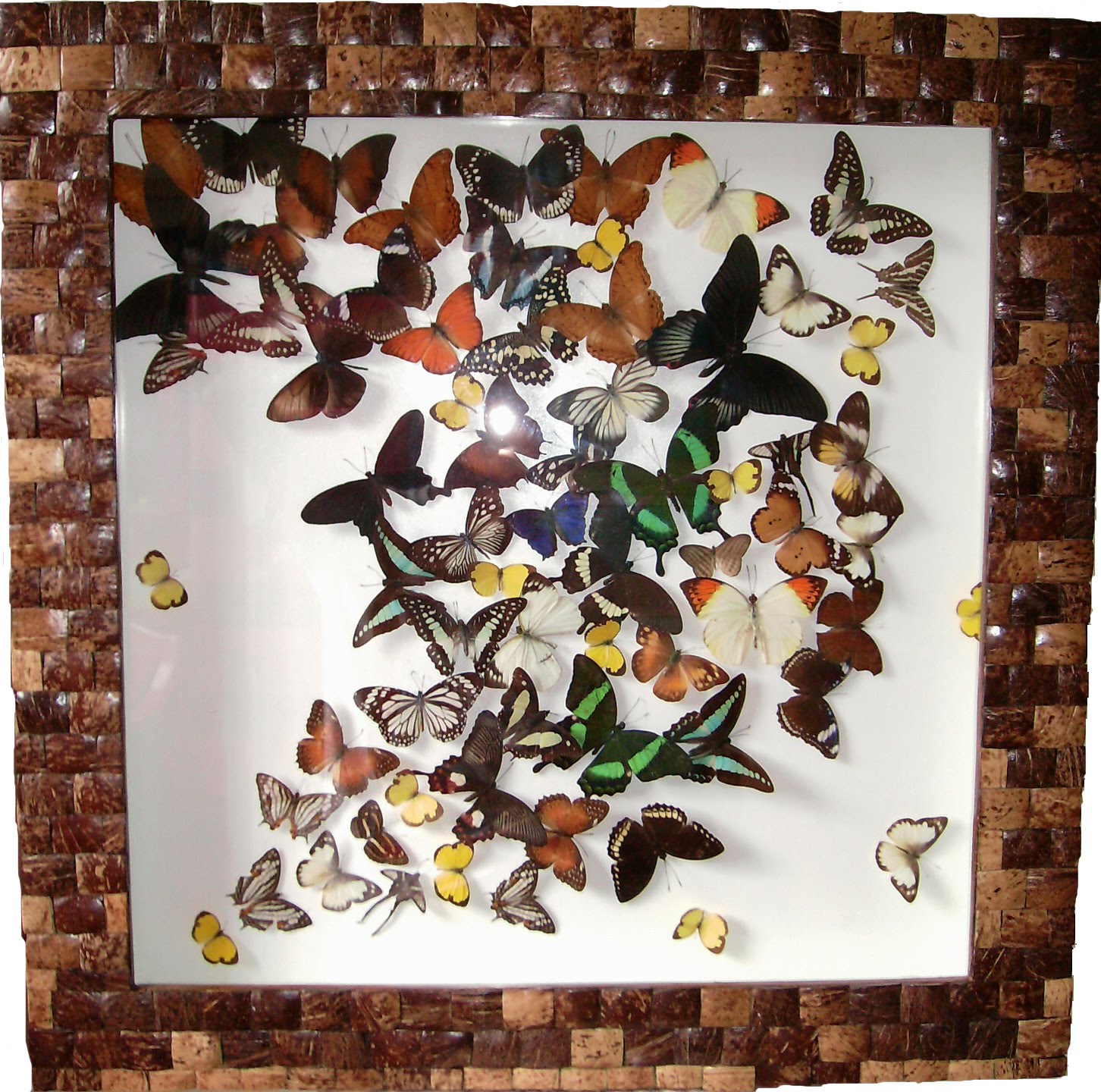 Indigenous Frame Proudly Philippine Made