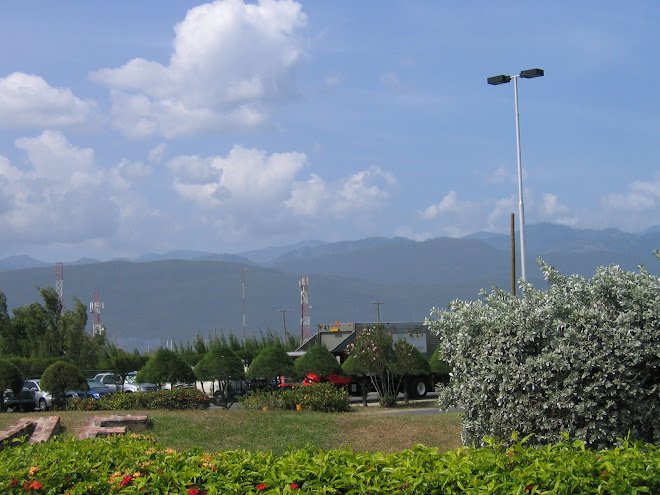 first view of Kingston from Manley airport
