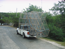 Fish traps Jamaican style...