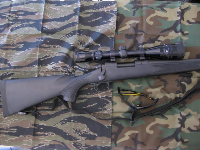 Remington 700 before