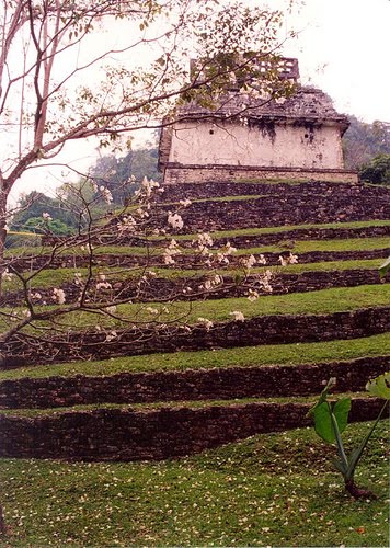 Jardines, torres y mercados en El Libro de Mormón