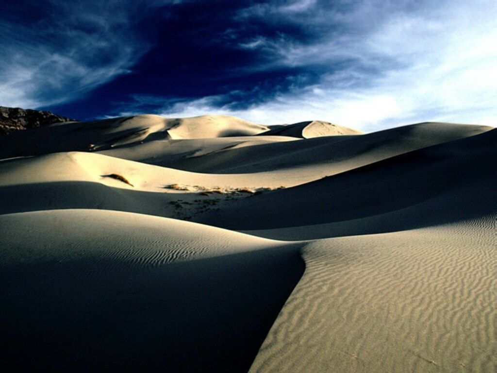 Una "Tierra de Abundancia"  ¿En el desierto?