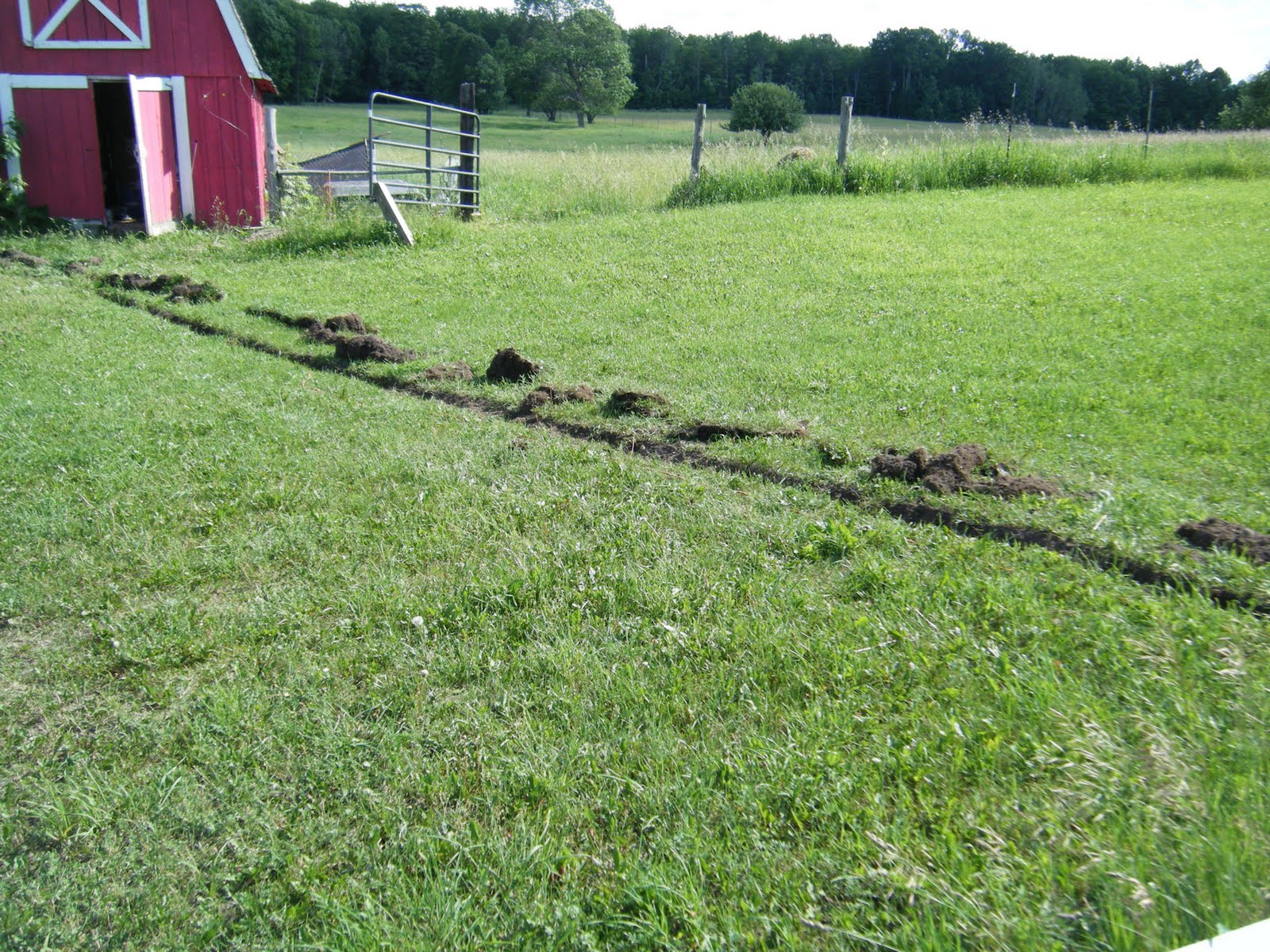 functional-farm-unleashed-pig-pen-construction-step-3-and-more