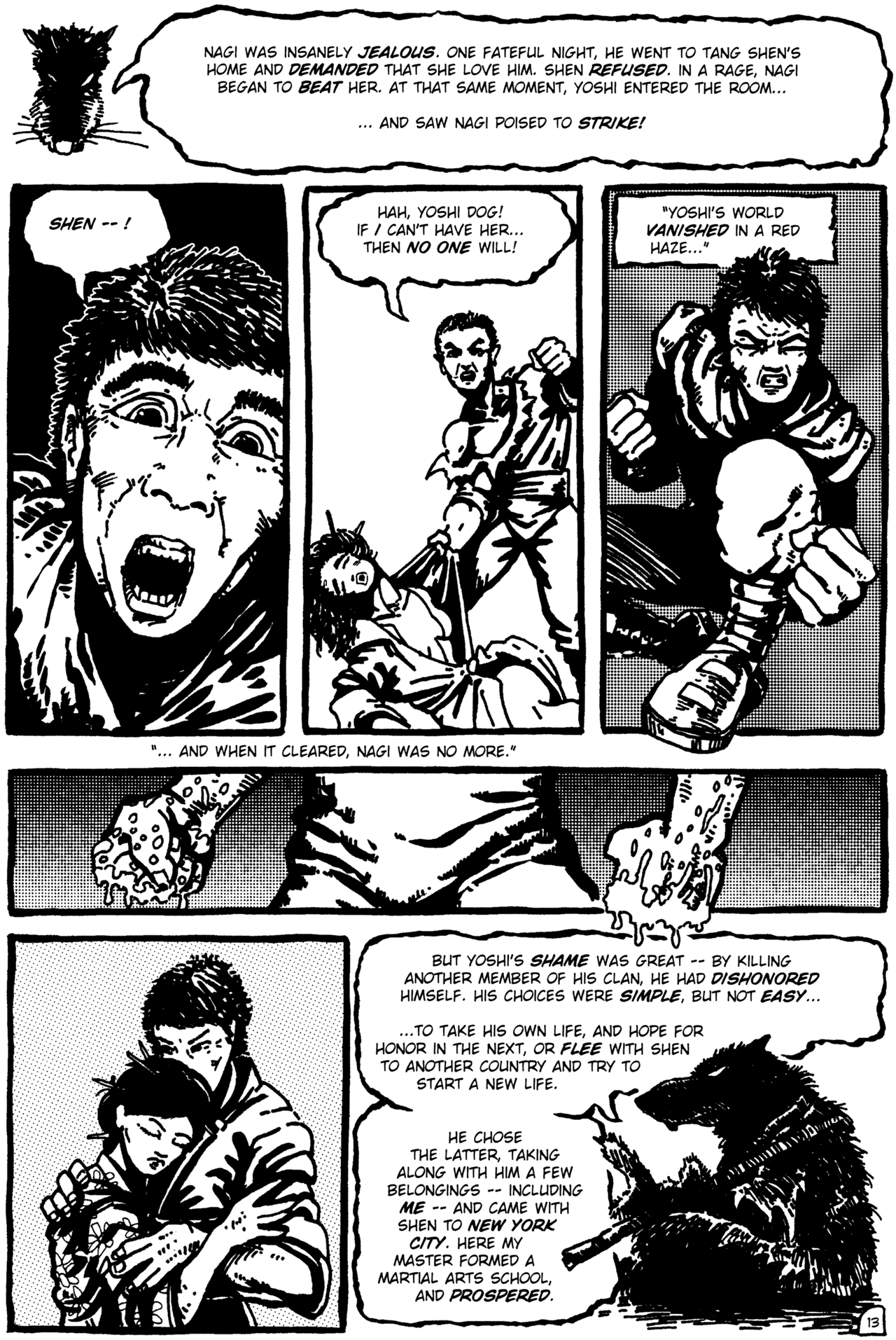 Teenage Mutant Ninja Turtles (1984) Issue #1 #1 - English 14
