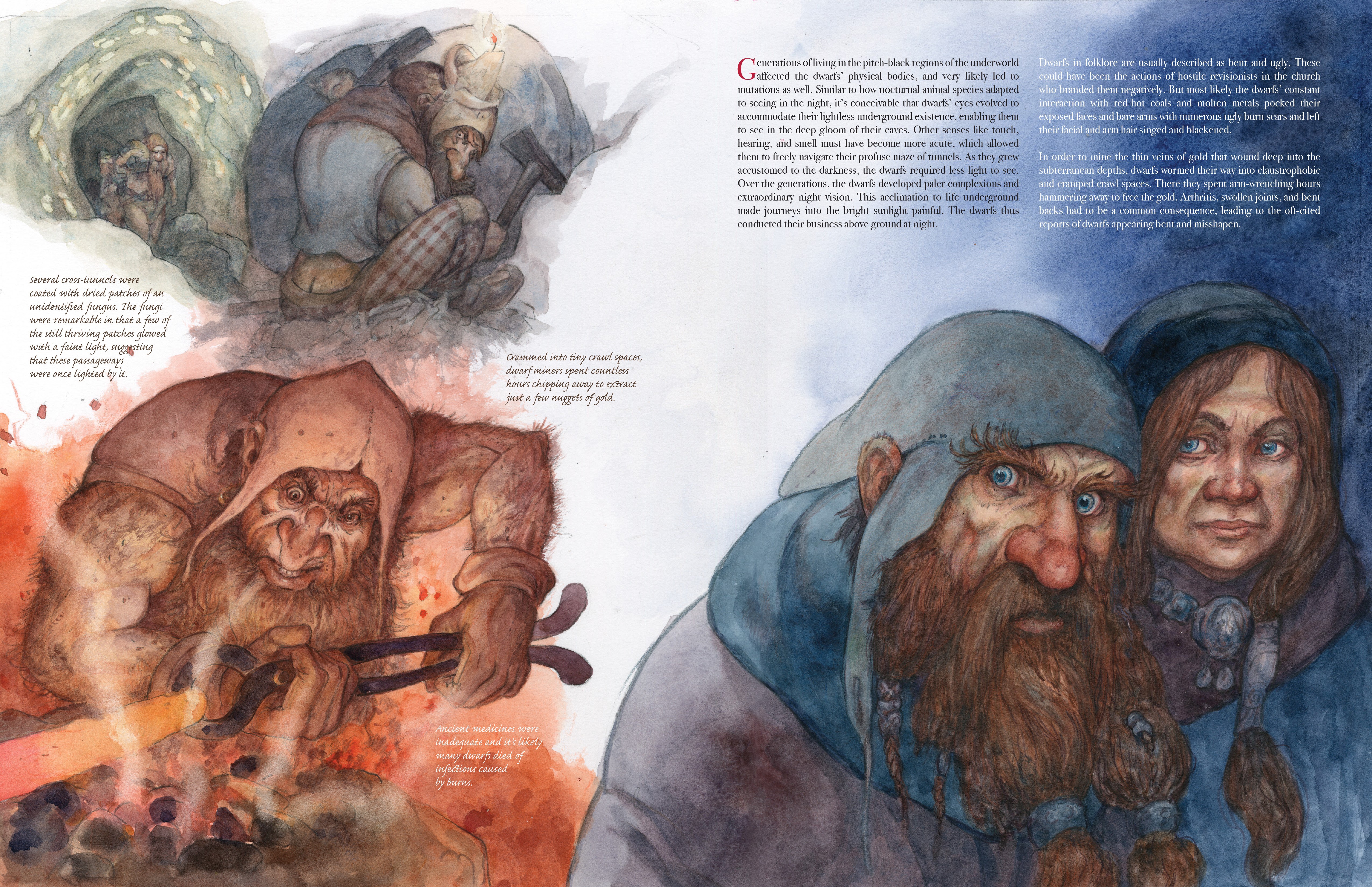 Read online Kingdom of the Dwarfs comic -  Issue # TPB (Part 1) - 25
