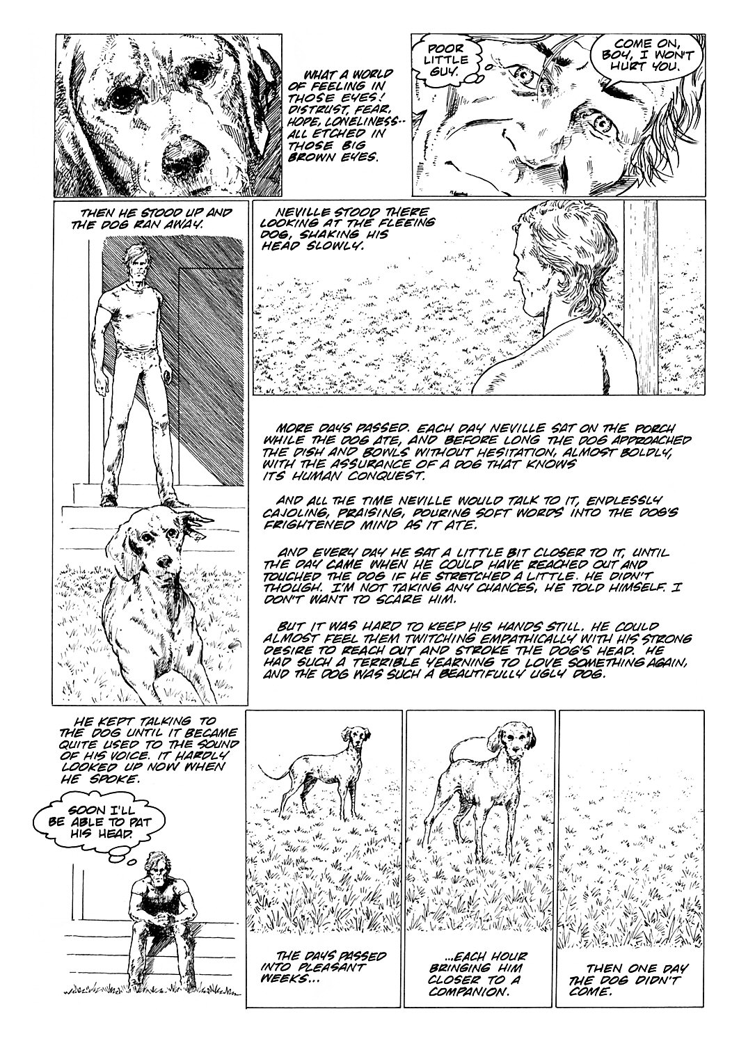 Read online Richard Matheson's I Am Legend comic -  Issue # TPB - 147