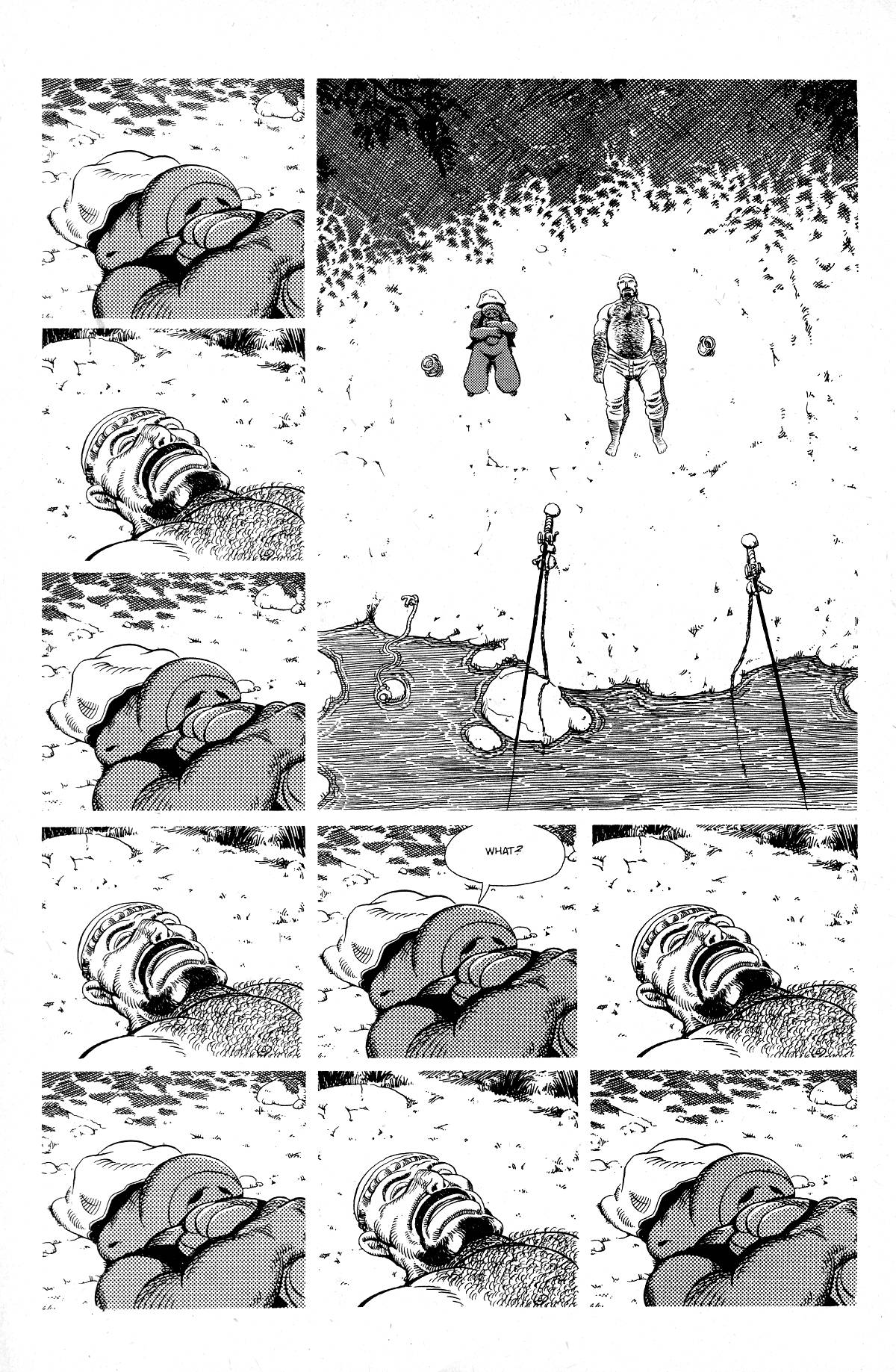 Read online Cerebus comic -  Issue #210 - 22