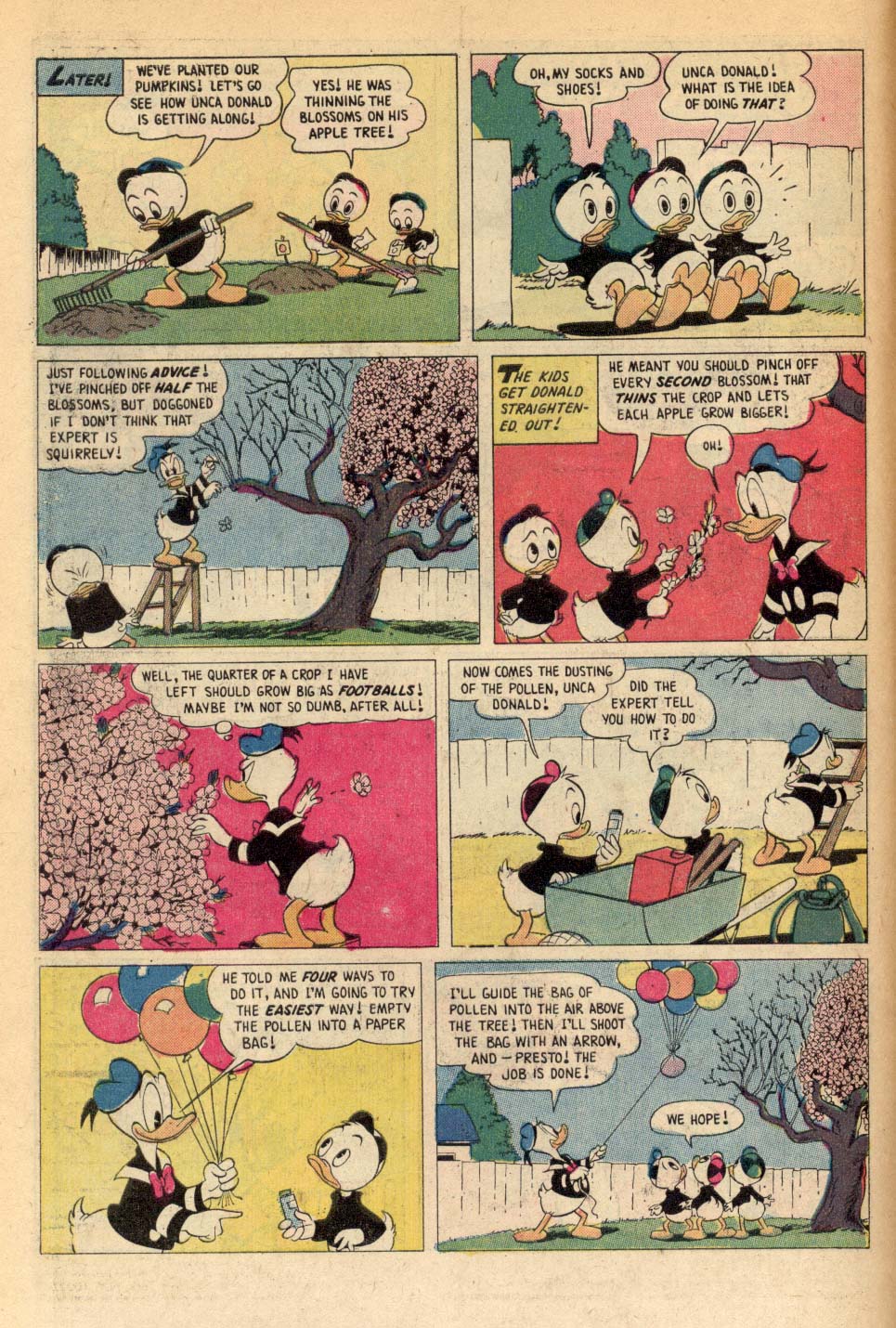 Read online Walt Disney's Comics and Stories comic -  Issue #387 - 6