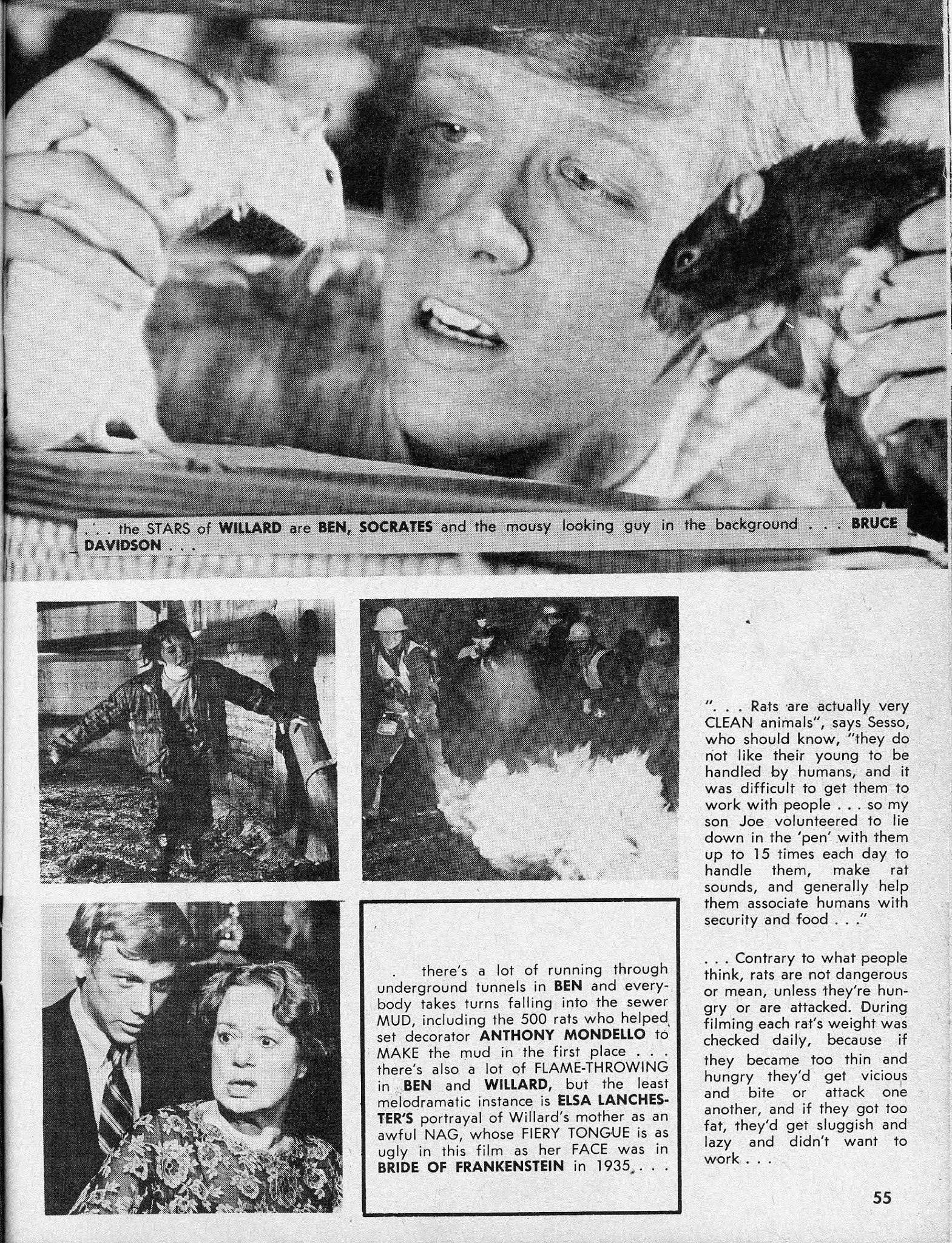 Read online Nightmare (1970) comic -  Issue #13 - 55