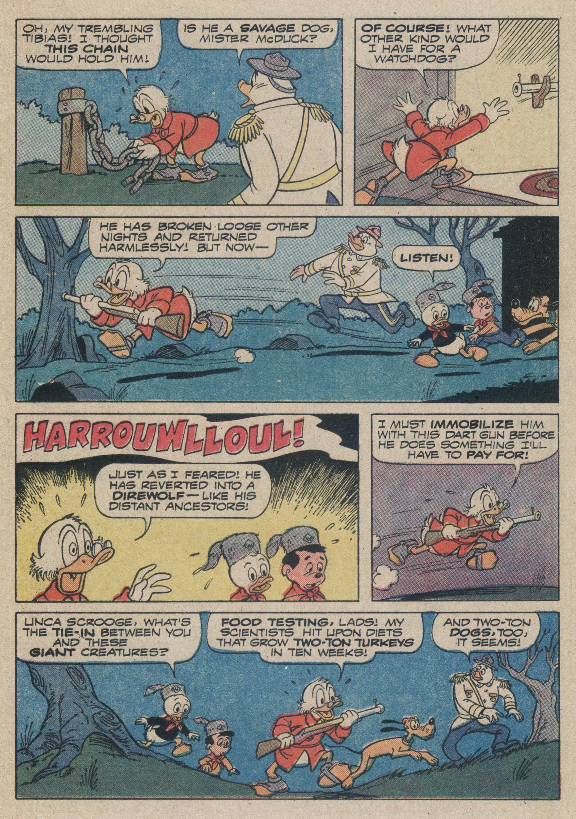 Read online Huey, Dewey, and Louie Junior Woodchucks comic -  Issue #12 - 13