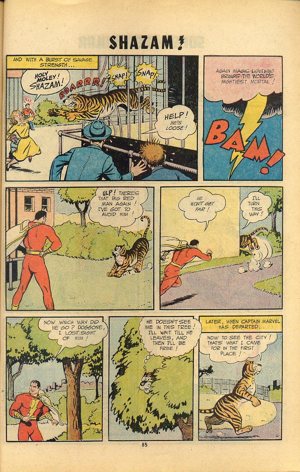 Read online Shazam! (1973) comic -  Issue #8 - 85